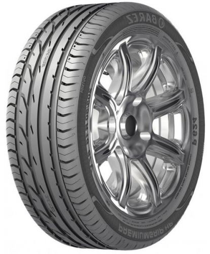 205/55R16 91V Barez Р624