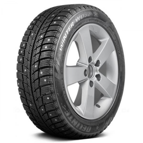245/45R18 100H Delinte Winter WD52